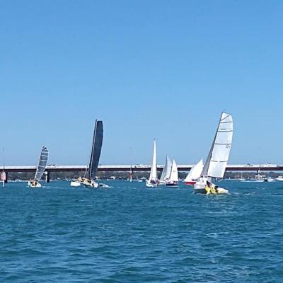 241821719 866336844018833 1679407906292023008 N