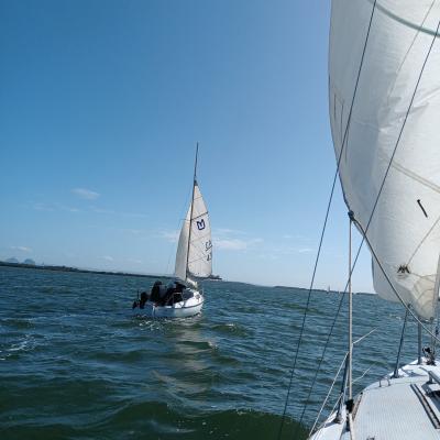 295319432 746653196651539 5256214024277517343 N3